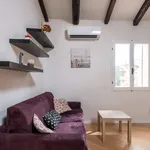 Rent 1 bedroom apartment of 50 m² in bologna