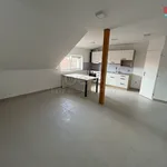 Rent 2 bedroom apartment of 58 m² in Benátky nad Jizerou