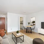 Rent 1 bedroom apartment in Montreal