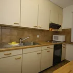 Rent 1 bedroom apartment of 592 m² in Zurich