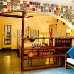 Rent 1 bedroom apartment in Guanajuato