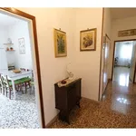 Rent 3 bedroom apartment of 67 m² in Scandicci