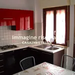 Rent 3 bedroom apartment of 65 m² in Grosseto