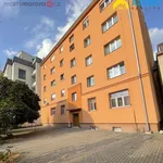 Rent 1 bedroom apartment in Přerov