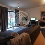 Rent 1 bedroom apartment in Derby