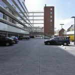 Rent 3 bedroom apartment of 87 m² in Utrecht