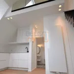 Rent 1 bedroom apartment in Bruxelles