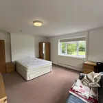 Semi-detached house to rent in College Road Cranfield, Bedford MK43