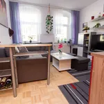 Rent 2 bedroom apartment of 33 m² in Halle (Saale)