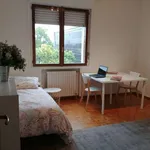 Rent a room in padua