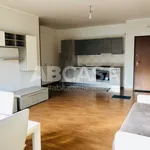 Rent 3 bedroom apartment of 95 m² in Lariano