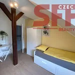 Rent 1 bedroom apartment of 18 m² in Prague