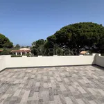 Rent 6 bedroom house of 320 m² in Messina