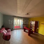 Rent 2 bedroom apartment of 30 m² in Biella