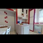 Rent 4 bedroom apartment of 160 m² in rome