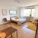 Miete 1 Schlafzimmer wohnung von 30 m² in Wiesbaden