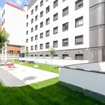 Rent 1 bedroom apartment in madrid