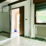 Rent 1 bedroom apartment of 22 m² in treviso