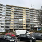 Rent 2 bedroom apartment in Winterslag