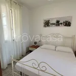 Rent 3 bedroom apartment of 93 m² in Grosseto