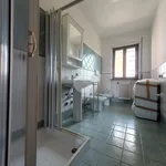 Rent 1 bedroom apartment of 130 m² in Viterbo