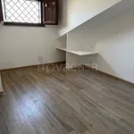 Rent 4 bedroom apartment of 95 m² in Roma