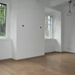 Rent 1 bedroom apartment of 55 m² in Praha