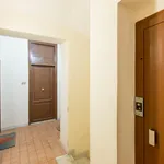 Rent 1 bedroom apartment in Rome