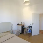 Rent 3 bedroom apartment in Rome