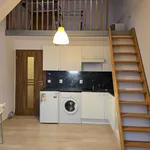 Rent 1 bedroom apartment of 20 m² in Pilsen