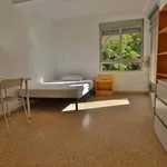 Rent a room in Valencia