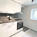 Pronájem domu 80m² s pozemkem 149m²