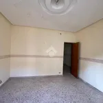 Rent 3 bedroom apartment of 86 m² in Palermo