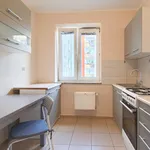 Rent 2 bedroom apartment of 43 m² in Toruń