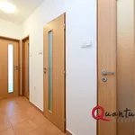 Rent 1 bedroom apartment in Prague