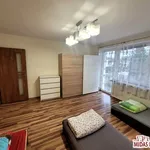 Rent 1 bedroom house of 260 m² in Włocławek