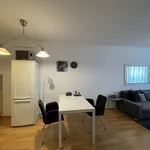 Rent 1 bedroom apartment of 50 m² in Prague