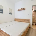 Rent 1 bedroom apartment in Brno