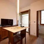 Rent 2 bedroom apartment of 50 m² in Torino