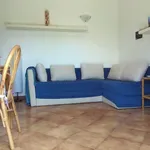 Rent 3 bedroom apartment of 80 m² in Anzio