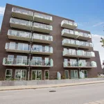 Rent 3 bedroom apartment of 90 m² in Nørresundby