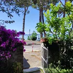 Rent 3 bedroom apartment of 50 m² in Trevignano Romano