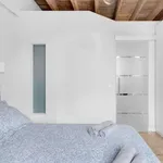 Rent 1 bedroom apartment in milan