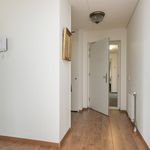 Nieuwe Haven, Schiedam - Amsterdam Apartments for Rent