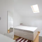 Rent 5 bedroom apartment in Lisbon