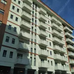 Rent 1 bedroom apartment in Turin