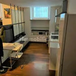 Rent 1 bedroom apartment of 46 m² in Turin