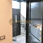 Rent 1 bedroom apartment of 40 m² in Roma