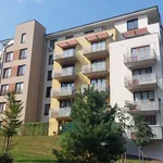 Pronajměte si 1 ložnic/e byt o rozloze 35 m² v cakovice