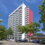 Miete 2 Schlafzimmer wohnung von 42 m² in Düsseldorf